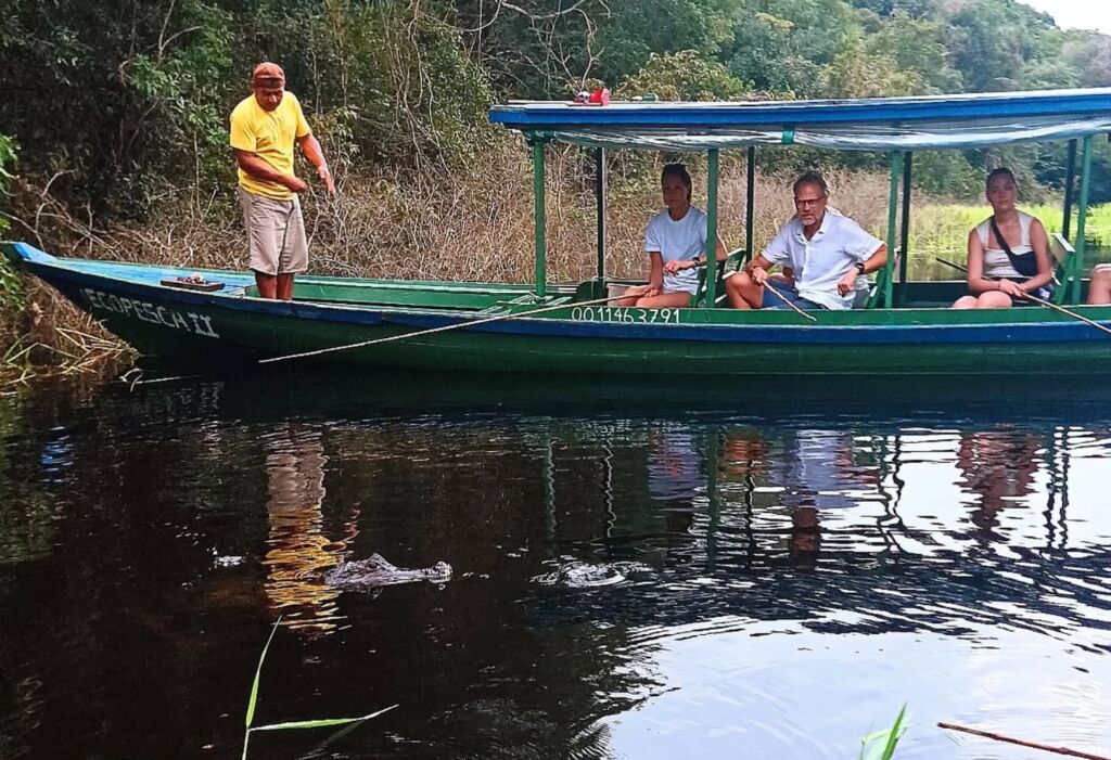 piranha fishing amazon animals brazil