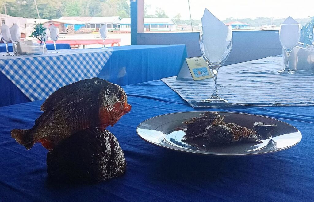 piranha tasting amazon animals Brazil