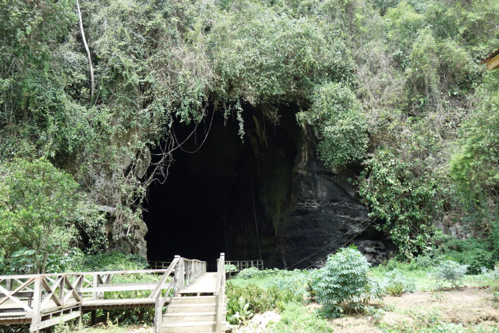Gomantong Cave Borneo