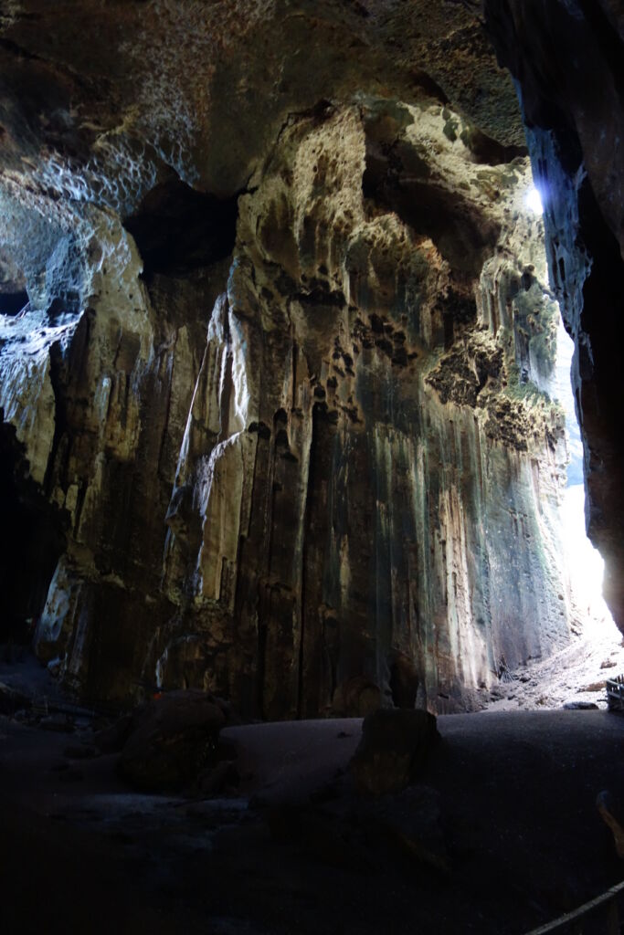 Gomantong Cave Borneo