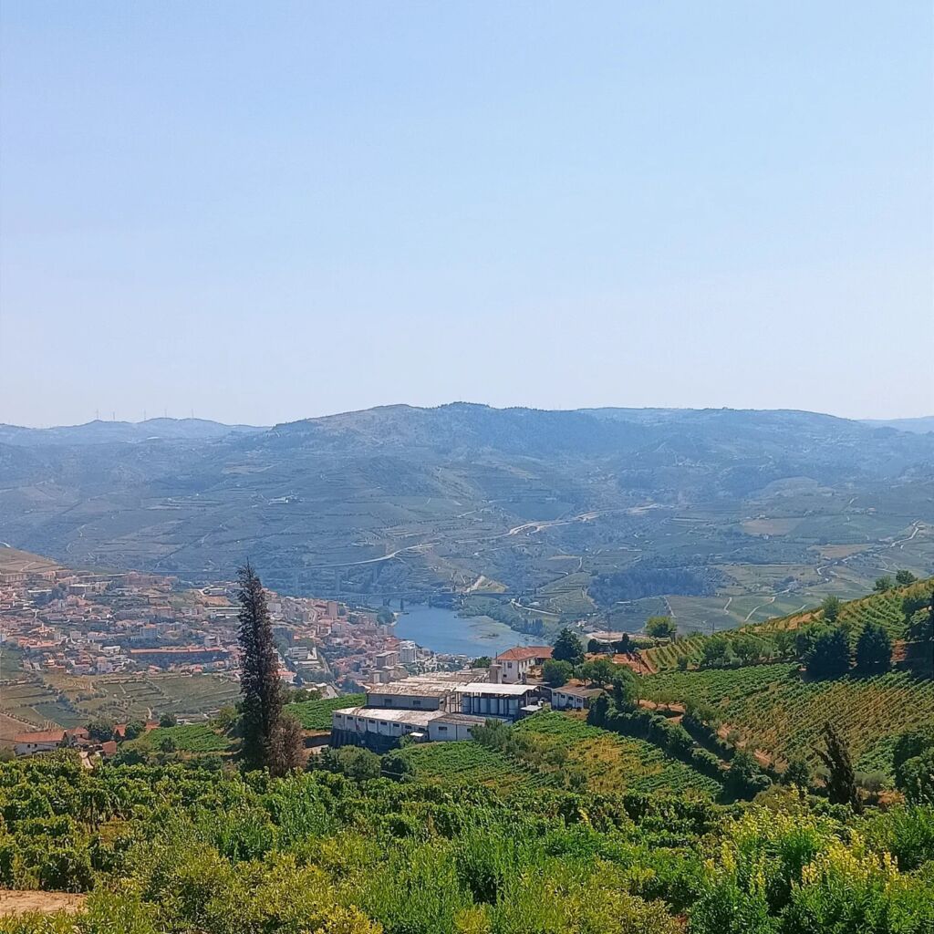 Porto wine region