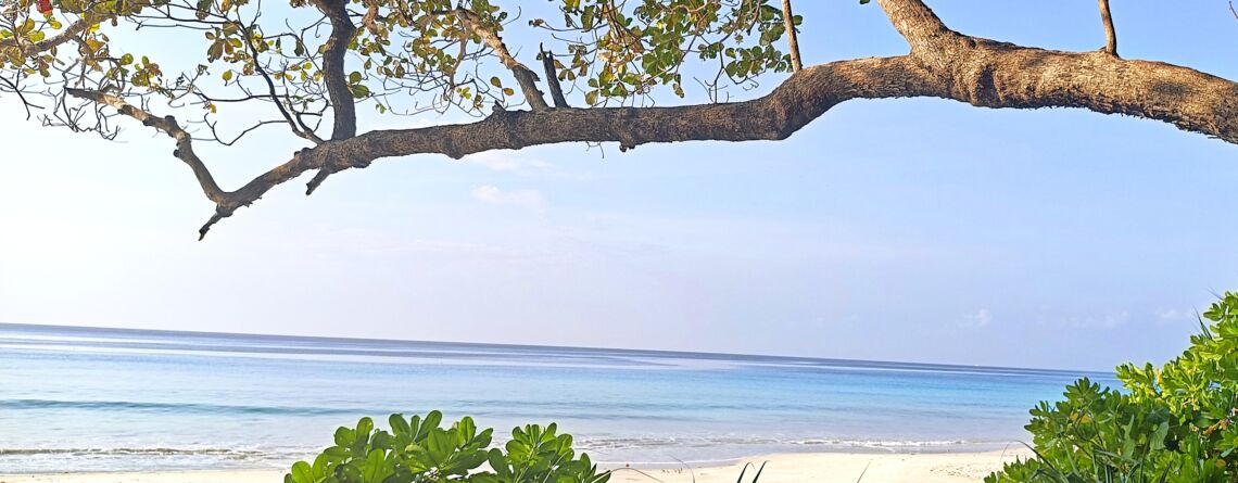 Andaman Islands Havelock beach