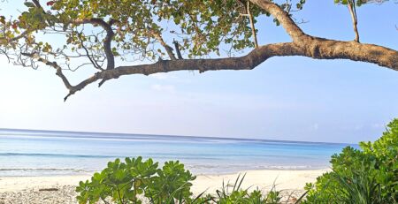 Andaman Islands Havelock beach