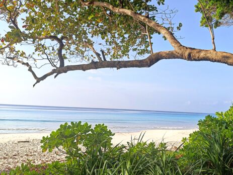 Andaman Islands Havelock beach