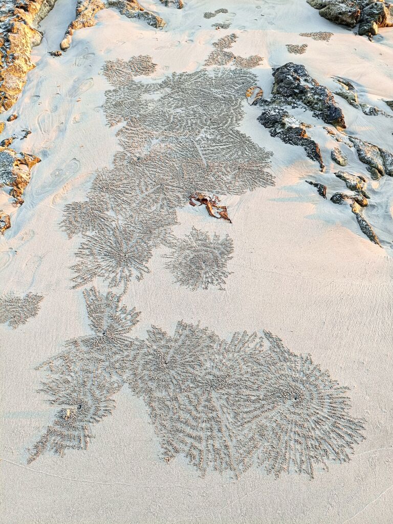 Andaman Islands Havelock beach