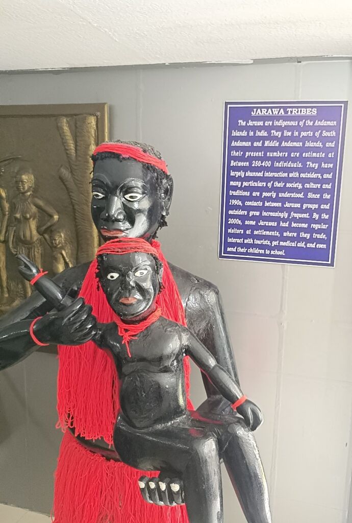 Andaman Islands jarawa museum