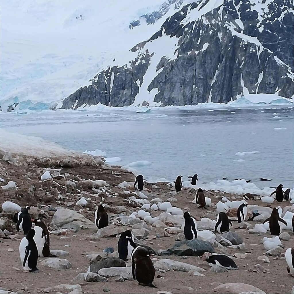 Antarctica Travelogue Antarctica Travelogue