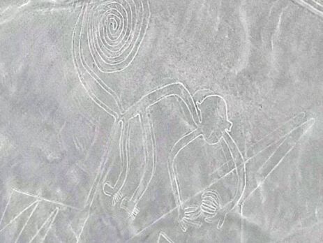 Nazca Line Monkey