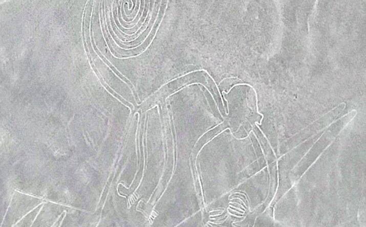 Nazca Line Monkey