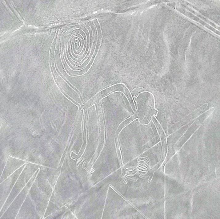 Nazca Line - Monkey