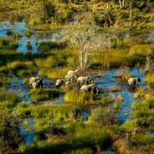 Botswana S4 Botswana S4