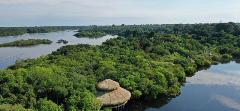Brazil-Amazon Main Picture