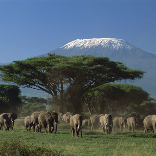 National-aprk Arusha