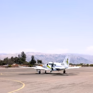 Nazca 3 Nazca 3