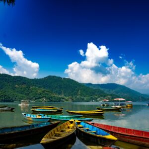 Nepal 7 (N)