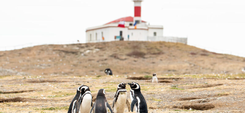 Punta-Arenas-Image