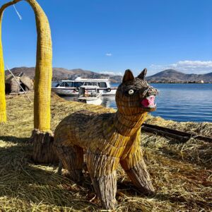 Titicaca 5