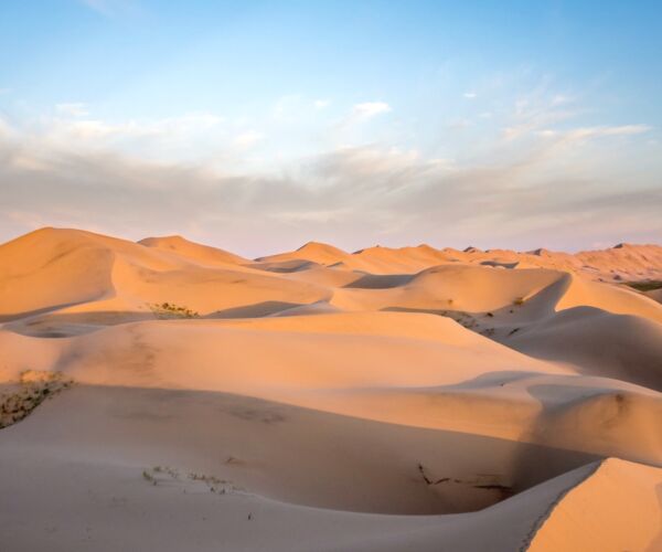 gobi desert